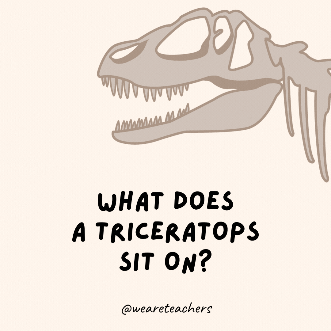 What does a triceratops sit on?
