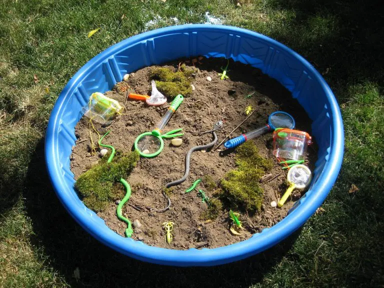 A blue kiddie pool is filled with dirt and moss and plastic critters like snakes. There are also magnifying glasses and other equipment.